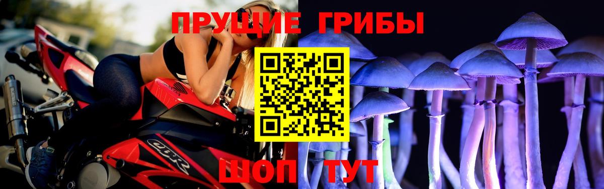 Псилоцибиновые грибы Psilocybine cubensis Ханты-Мансийск